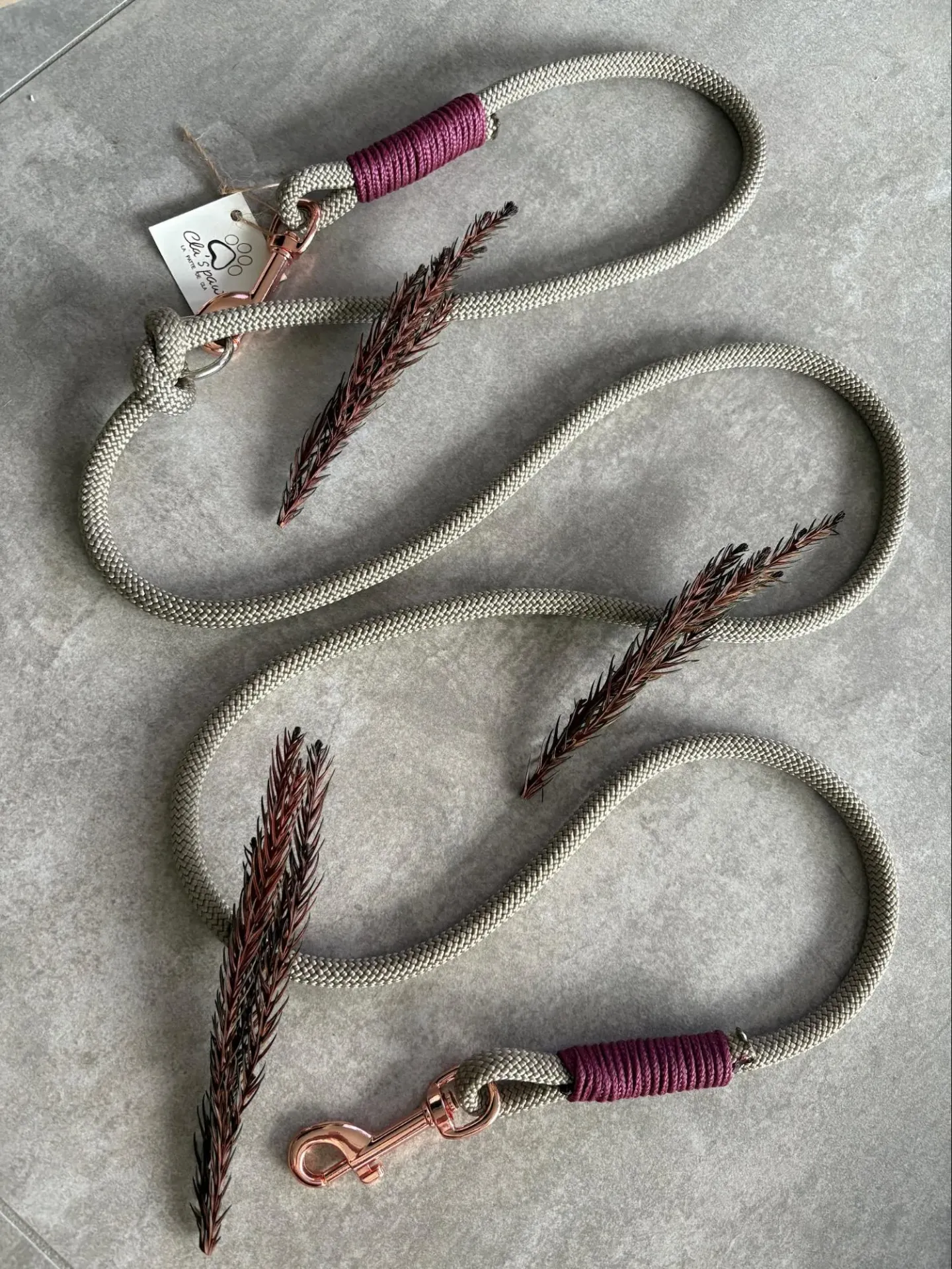 Laisse TREK SABLE