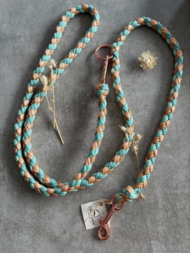 Laisse ALPINE AURORE